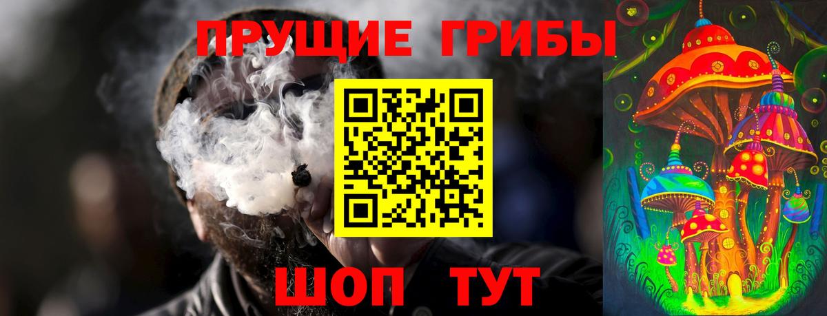 Галлюциногенные грибы прущие грибы  Вход с VPN  Сердобск 